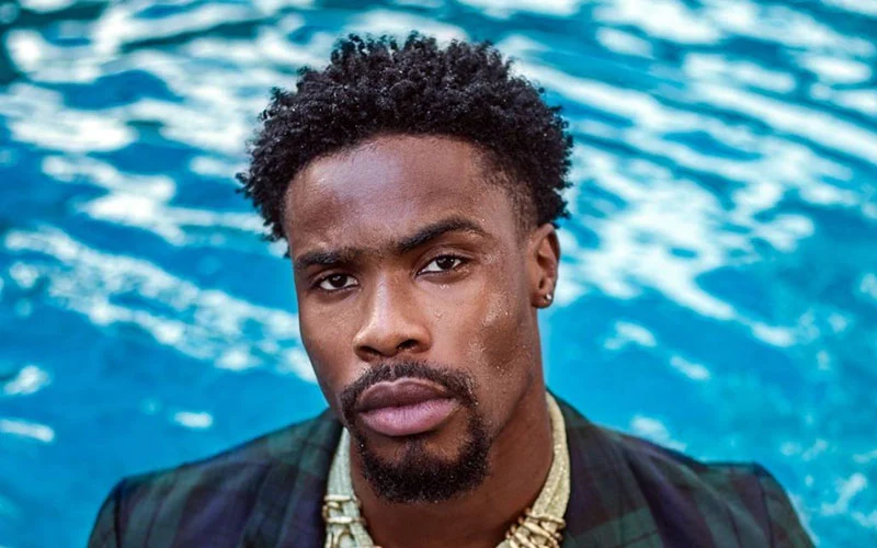 14 Iconic Afro Inspired Cuts: A Celebration of Heritage and Style 2 Black Mens Hairstyles