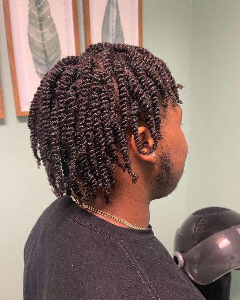 14 Stunning Twist Styles for Modern Black Men: Versatile Looks for a Confident Identity 6 Classic Two Strand Twists Hairstyle