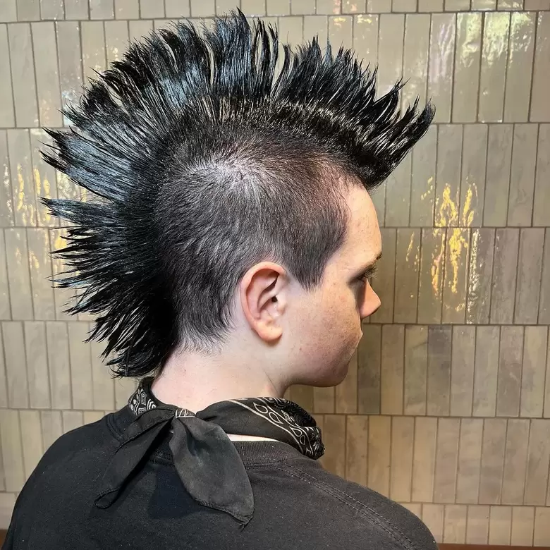 13 Bold Punk Inspired Hairstyles: Rebellious Styles with a Modern Edge 3 Image 13 66dfe5874b248