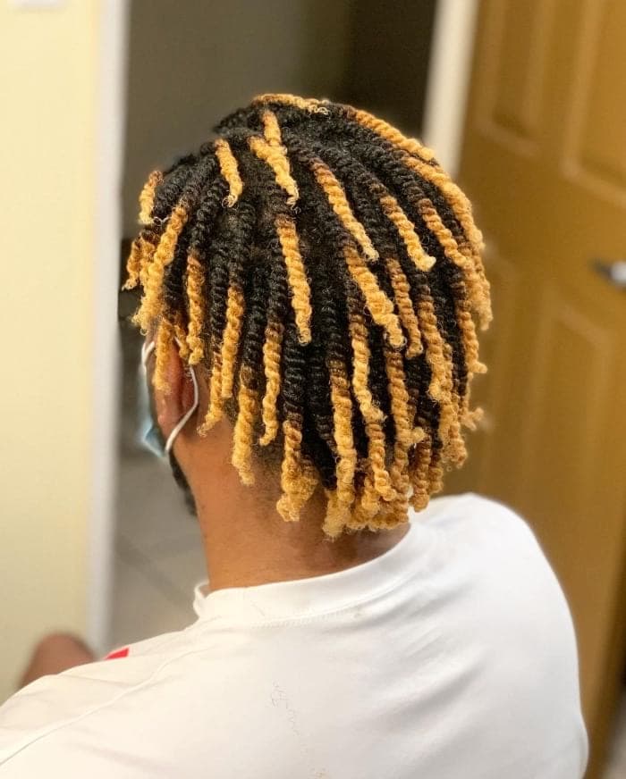 21 Stylish Twist Hairstyles for Black Men: A Definitive Grooming Guide 12 Thick Twists with Highlights