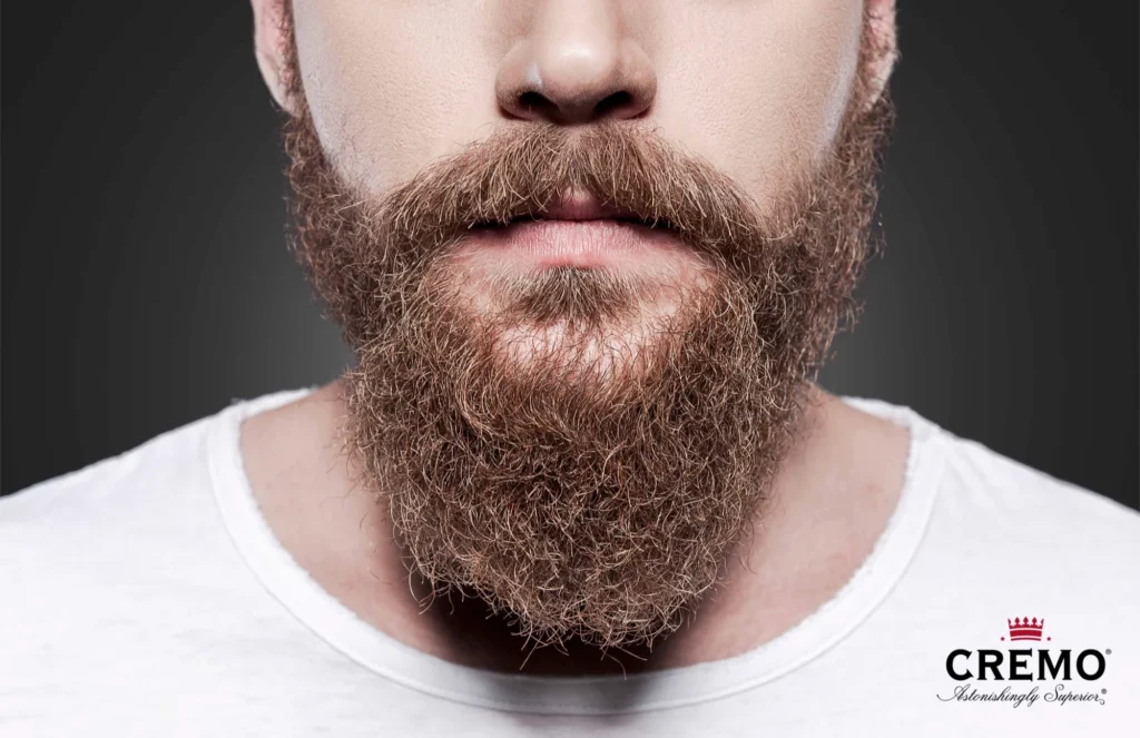 10 Striking Ginger Beard Styles: A Celebration of Bold, Refined Masculinity 8 how to train beard feature image